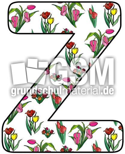 Tulpen-Buchstabe-Z.jpg